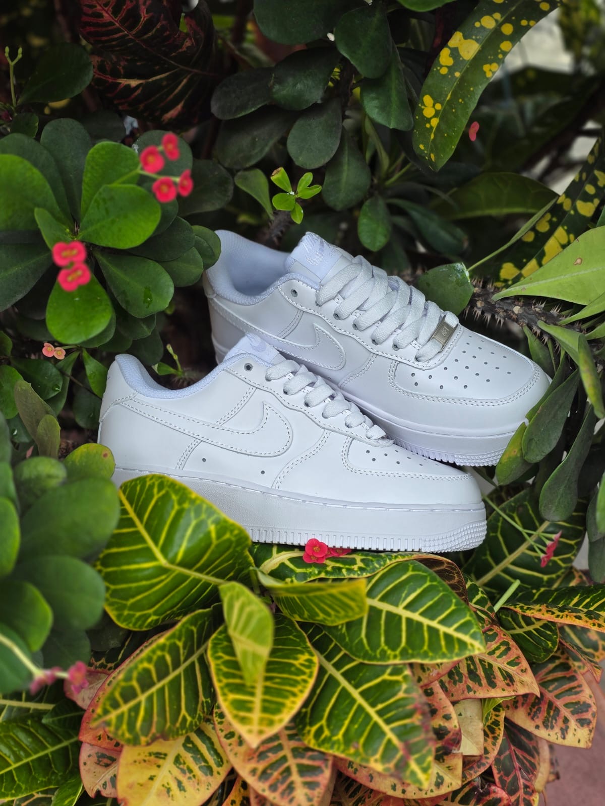 AF1 CLASICA